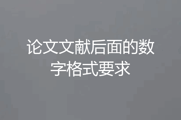 论文文献后面的数字格式要求
