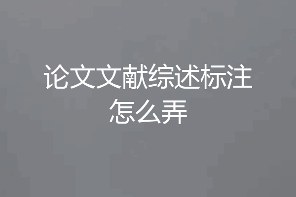 论文文献综述标注怎么弄