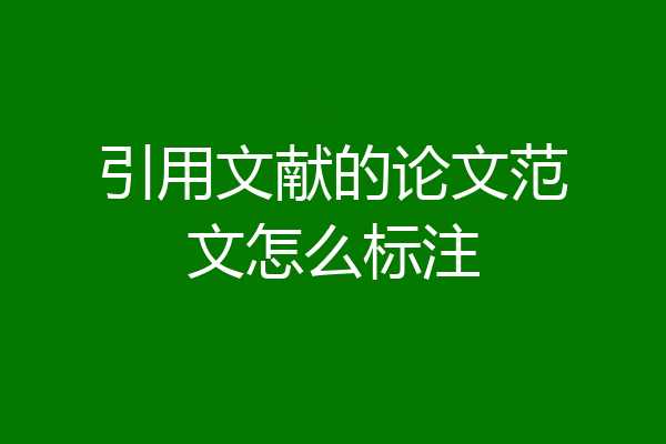 引用文献的论文范文怎么标注