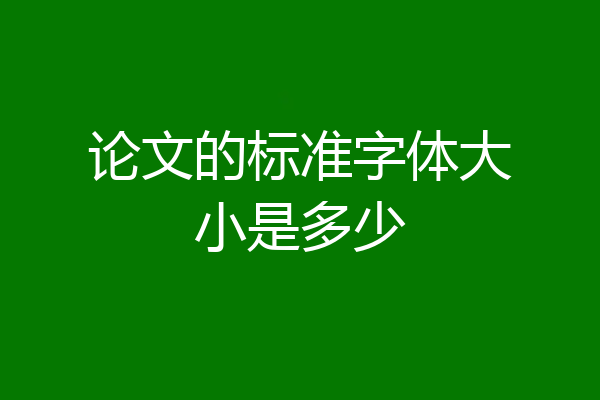论文的标准字体大小是多少