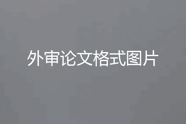 外审论文格式图片