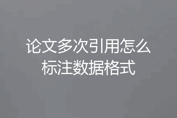 论文多次引用怎么标注数据格式