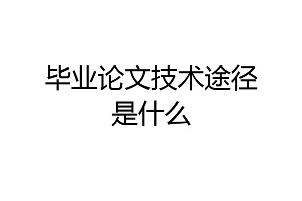 毕业论文技术途径是什么