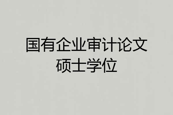 国有企业审计论文硕士学位
