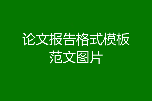 论文报告格式模板范文图片