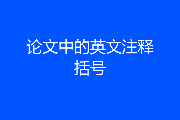 论文中的英文注释括号