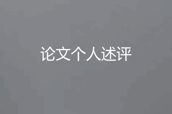 论文个人述评