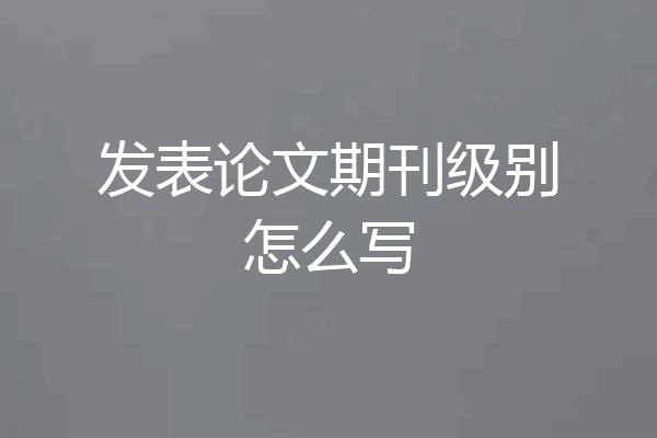 发表论文期刊级别怎么写