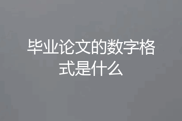 毕业论文的数字格式是什么