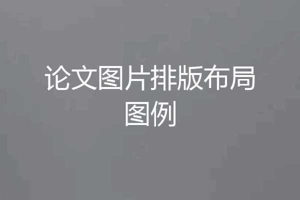 论文图片排版布局图例