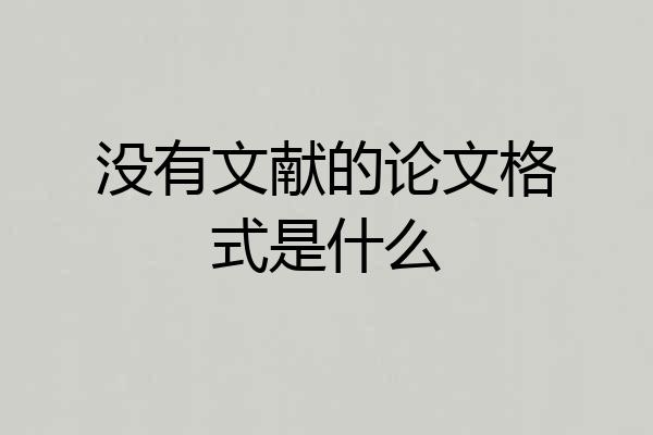 没有文献的论文格式是什么