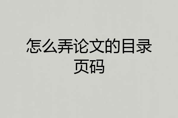 怎么弄论文的目录页码