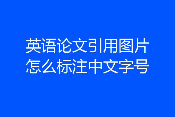 英语论文引用图片怎么标注中文字号