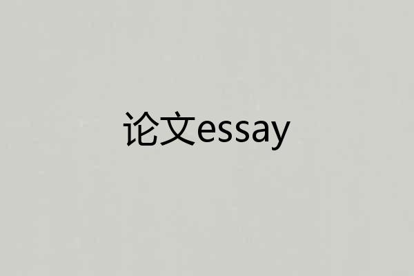 论文essay