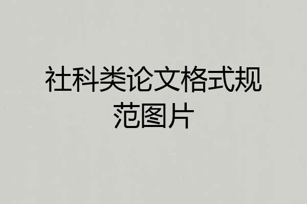 社科类论文格式规范图片