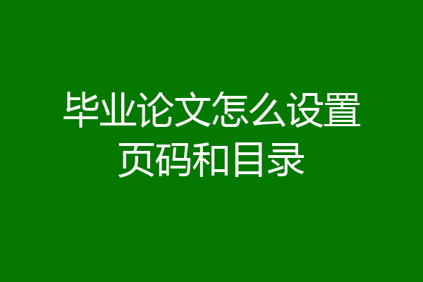 毕业论文怎么设置页码和目录