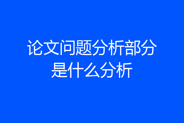 论文问题分析部分是什么分析
