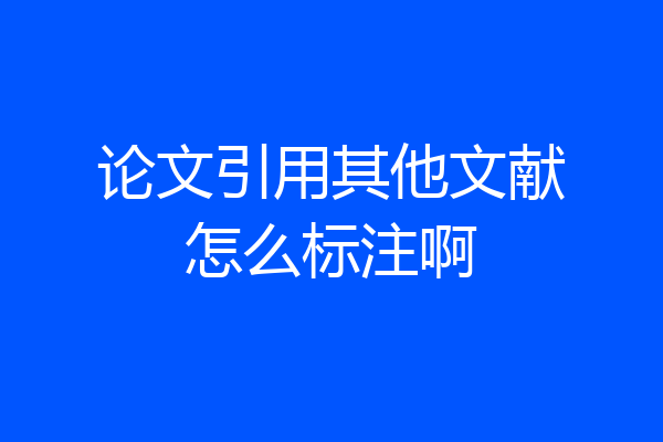 论文引用其他文献怎么标注啊