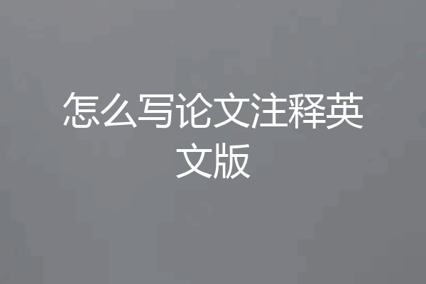 怎么写论文注释英文版