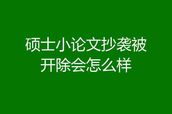 硕士小论文抄袭被开除会怎么样