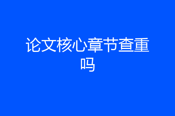 论文核心章节查重吗