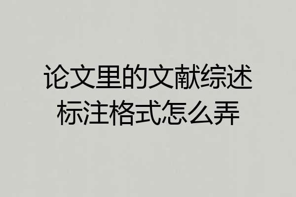 论文里的文献综述标注格式怎么弄