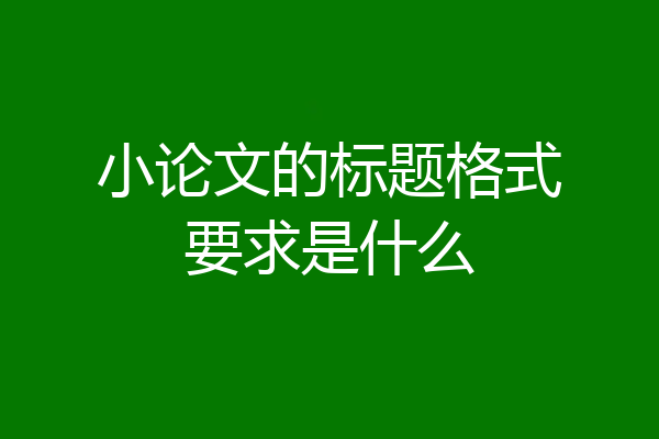 小论文的标题格式要求是什么