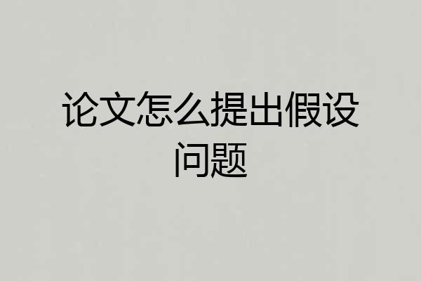 论文怎么提出假设问题