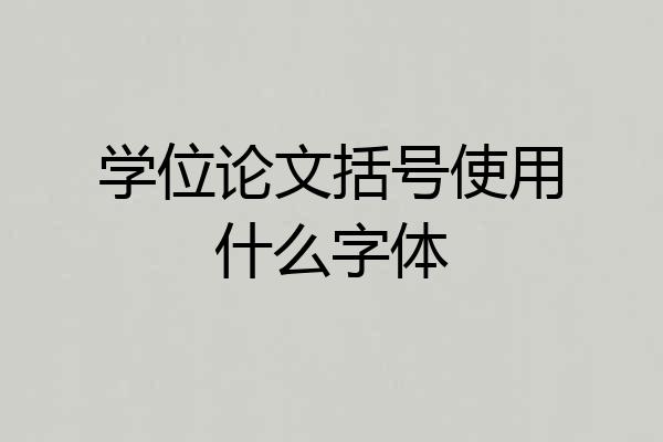 学位论文括号使用什么字体