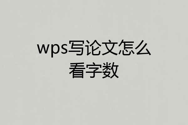 wps写论文怎么看字数
