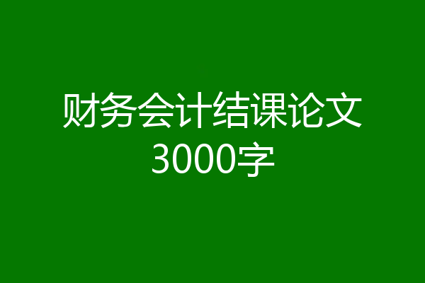 财务会计结课论文3000字