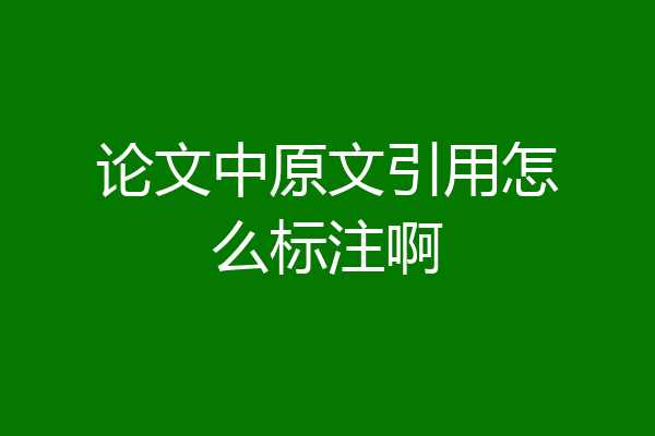 论文中原文引用怎么标注啊