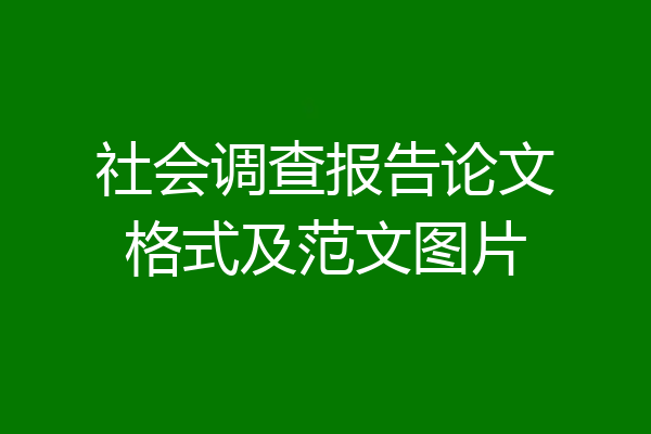 社会调查报告论文格式及范文图片