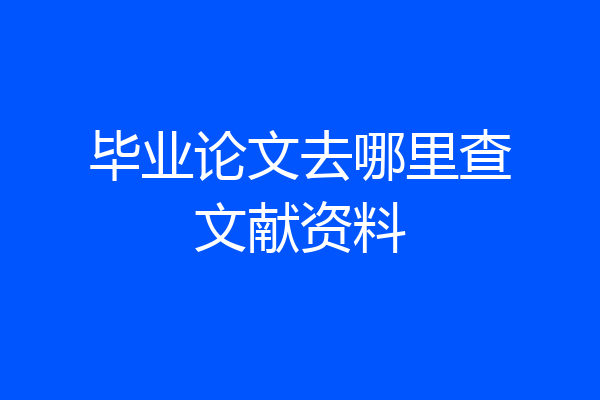毕业论文去哪里查文献资料