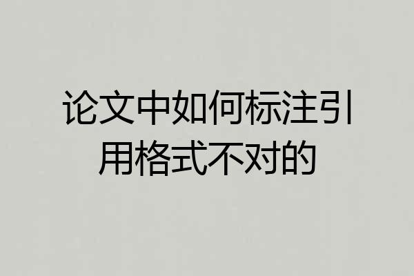 论文中如何标注引用格式不对的