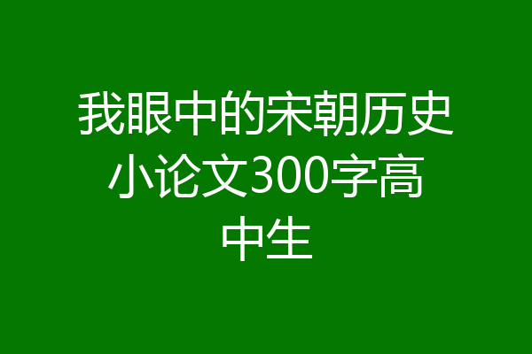 我眼中的宋朝历史小论文300字高中生