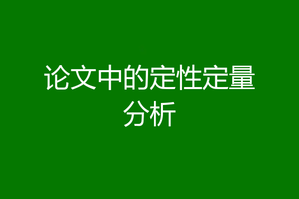 论文中的定性定量分析