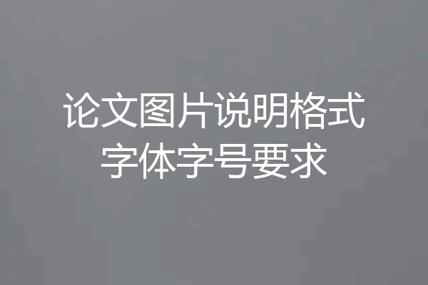 论文图片说明格式字体字号要求