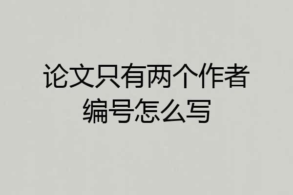 论文只有两个作者编号怎么写