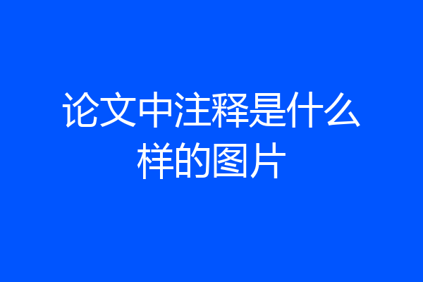 论文中注释是什么样的图片
