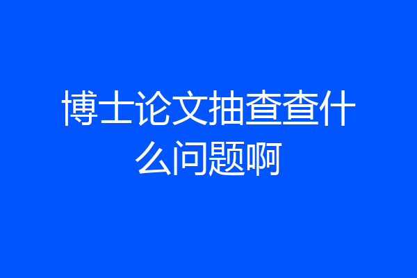 博士论文抽查查什么问题啊