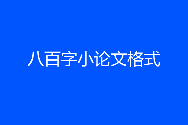 八百字小论文格式