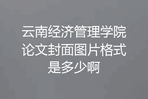 云南经济管理学院论文封面图片格式是多少啊