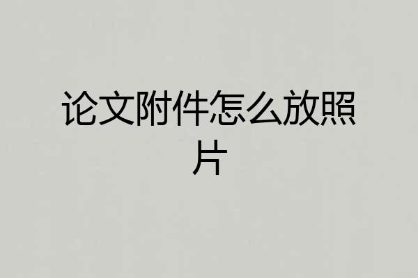 论文附件怎么放照片