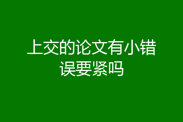 上交的论文有小错误要紧吗