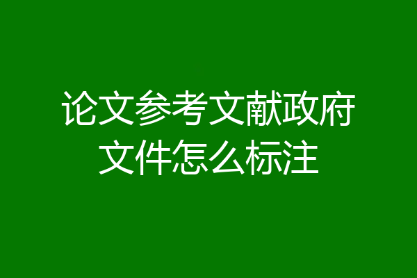 论文参考文献政府文件怎么标注