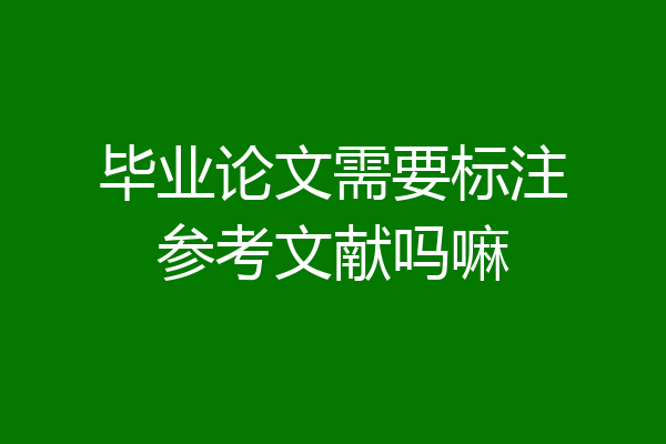 毕业论文需要标注参考文献吗嘛