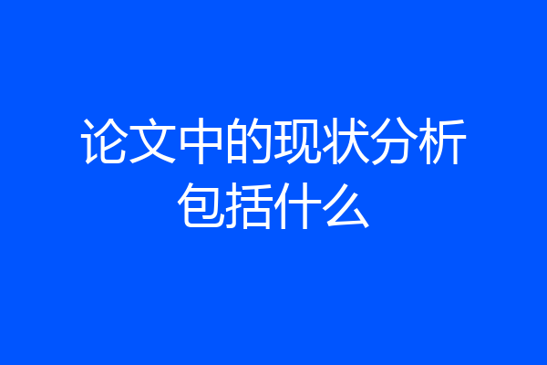 论文中的现状分析包括什么