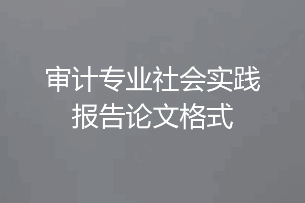审计专业社会实践报告论文格式