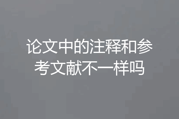 论文中的注释和参考文献不一样吗